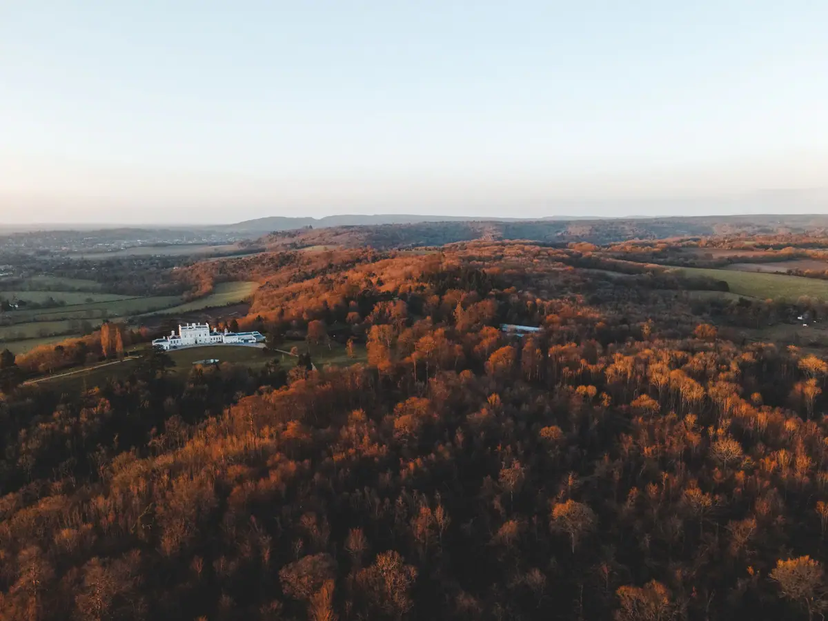 Aerial view of autumn woodland and rolling countryside in Surrey
